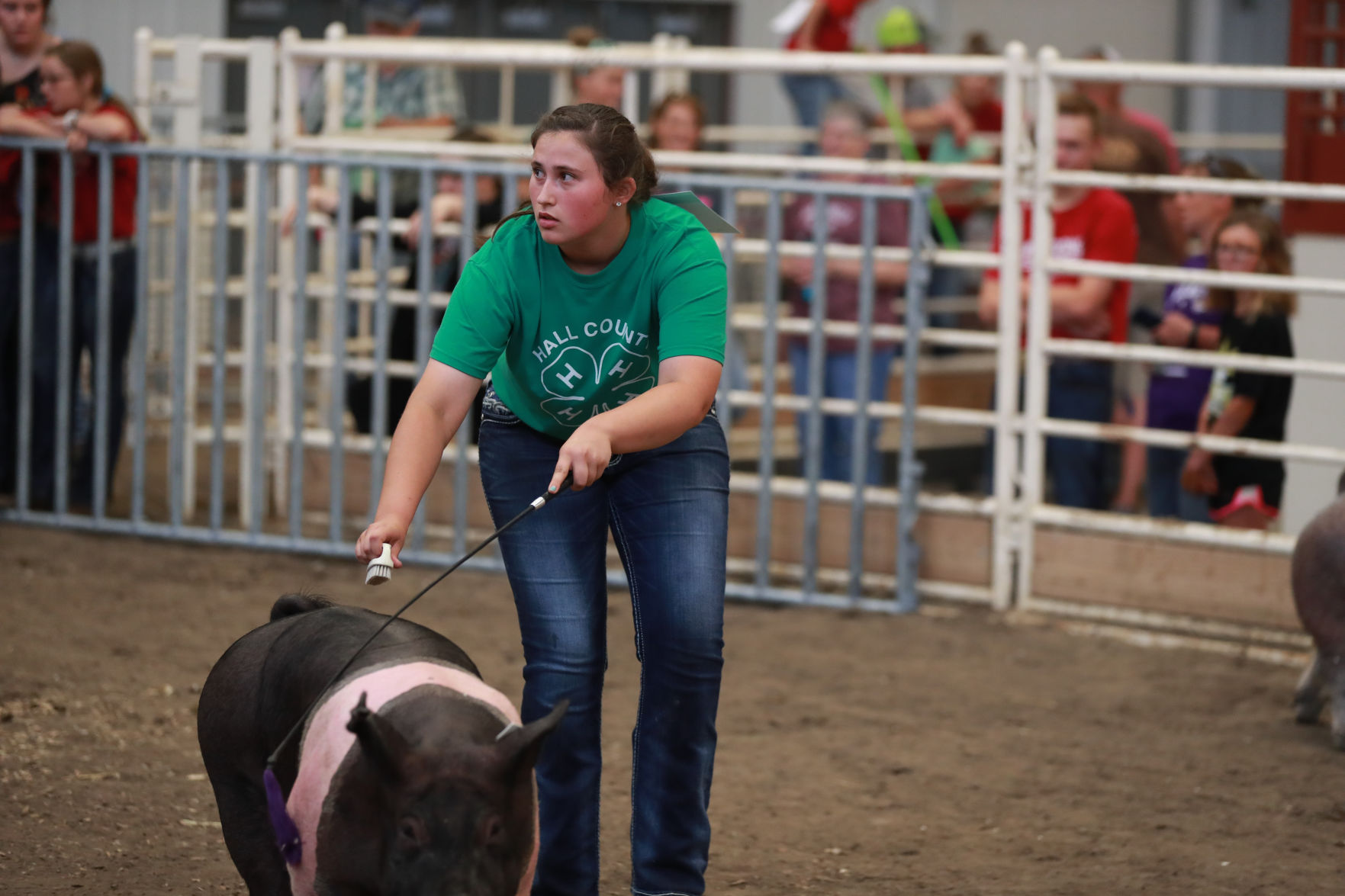 071119_HallCoFair35_bjs.JPG